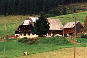 Mooshof